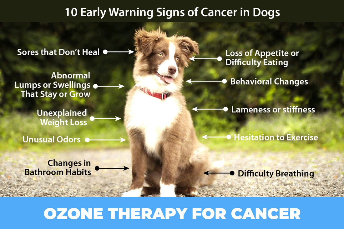 Treating Your Pet's Cancer at Home with Ozone Therapy