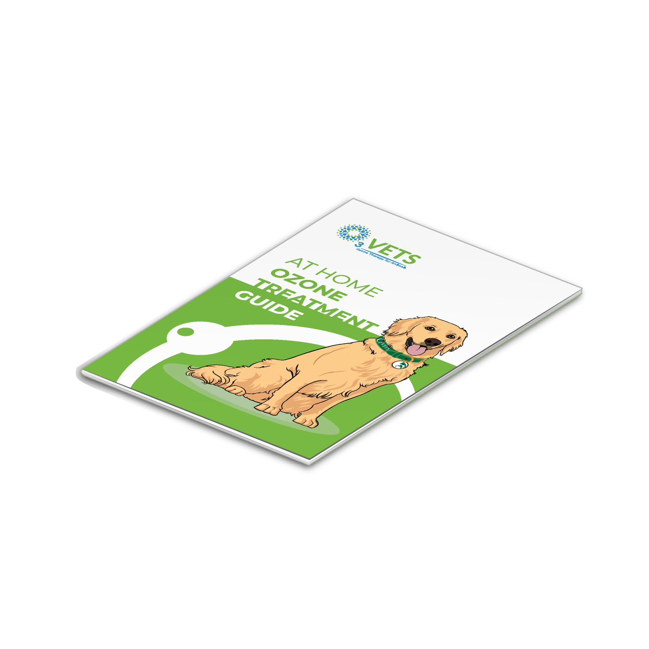 At Home Treatment Guide booklet on a white background