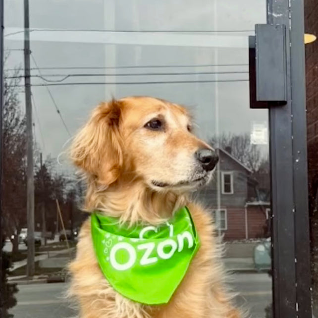 Bandana - I Love Ozone!