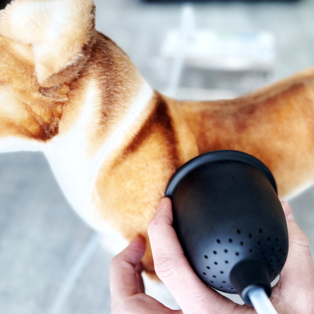 Cupping system use shown on a stuffed toy dog.
