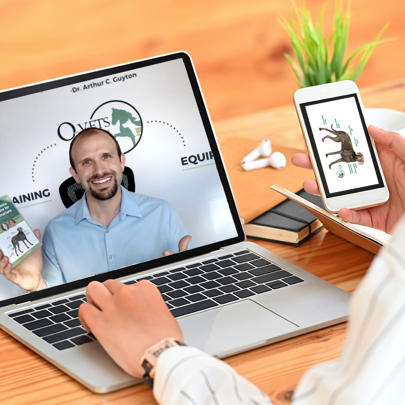 Online consulting video graphic.