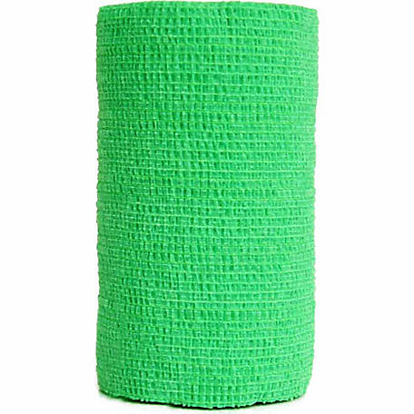 green Vet Wrap on a white background