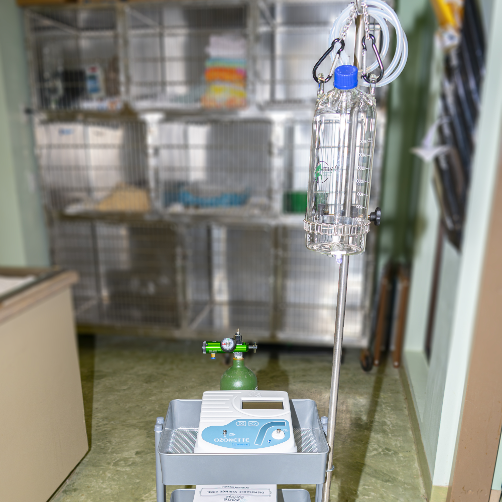 Ozonation Station Cart with veterinary-grade bubbler and oxygen tank, highlighting its organizational capabilities for pet ozone treatments.