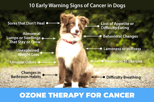 Treating Your Pet's Cancer at Home with Ozone Therapy