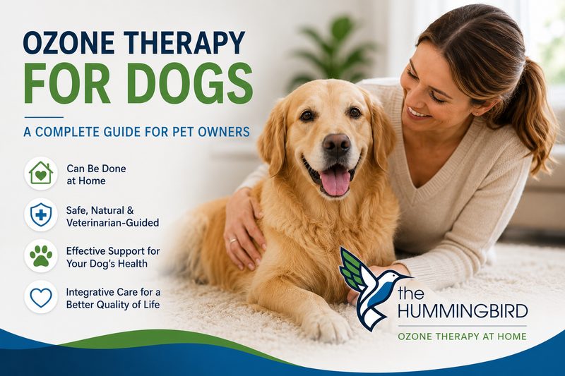 Ozone Therapy for Dogs: A Complete Guide for Pet Owners
