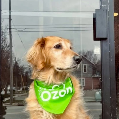 Bandana - I Love Ozone!