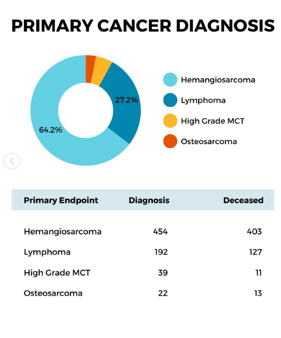 Lifetime Golden Retriever Study Primary Cancer Diagnosis